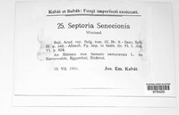 Septoria senecionis image